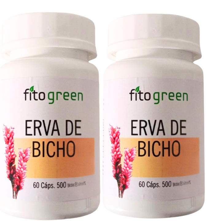 ERVA DE BICHO - Solução para HEMORROIDAS  Tratamento 100% NATURAL PROMOÇÃO