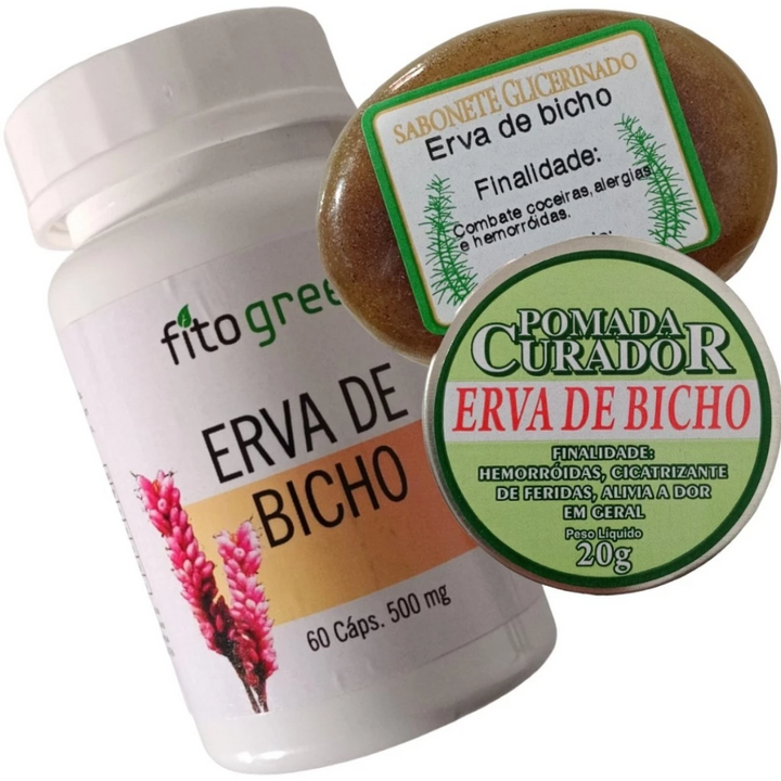 ERVA DE BICHO - Solução para HEMORROIDAS  Tratamento 100% NATURAL PROMOÇÃO